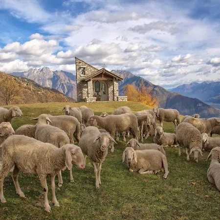 Spettacolare Vista E Giardino Privato Gera Lario